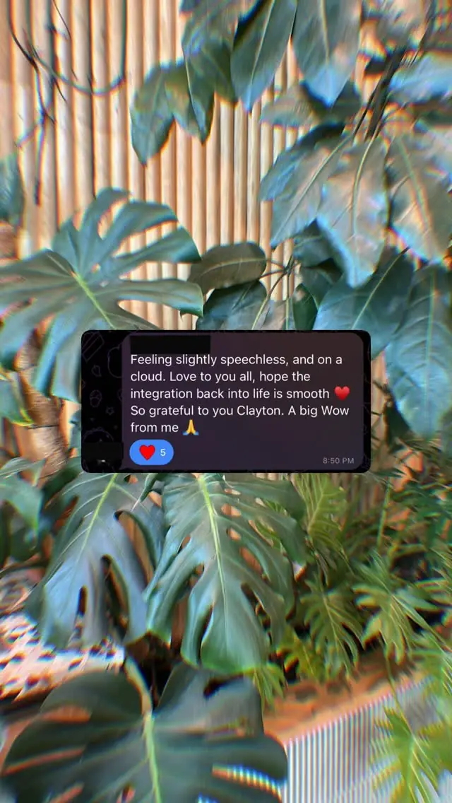Video review of a Vādma session with Clayton Harrop, in an Instagram story