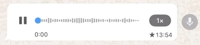 Video review of a Vādma session with Kevin Libawski, in a voice message